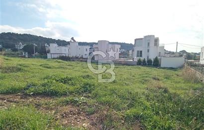 ÇANAKKALE KANGIRLI'DA DENİZE 100 M MESAFE DE SATILIK ARAZİ