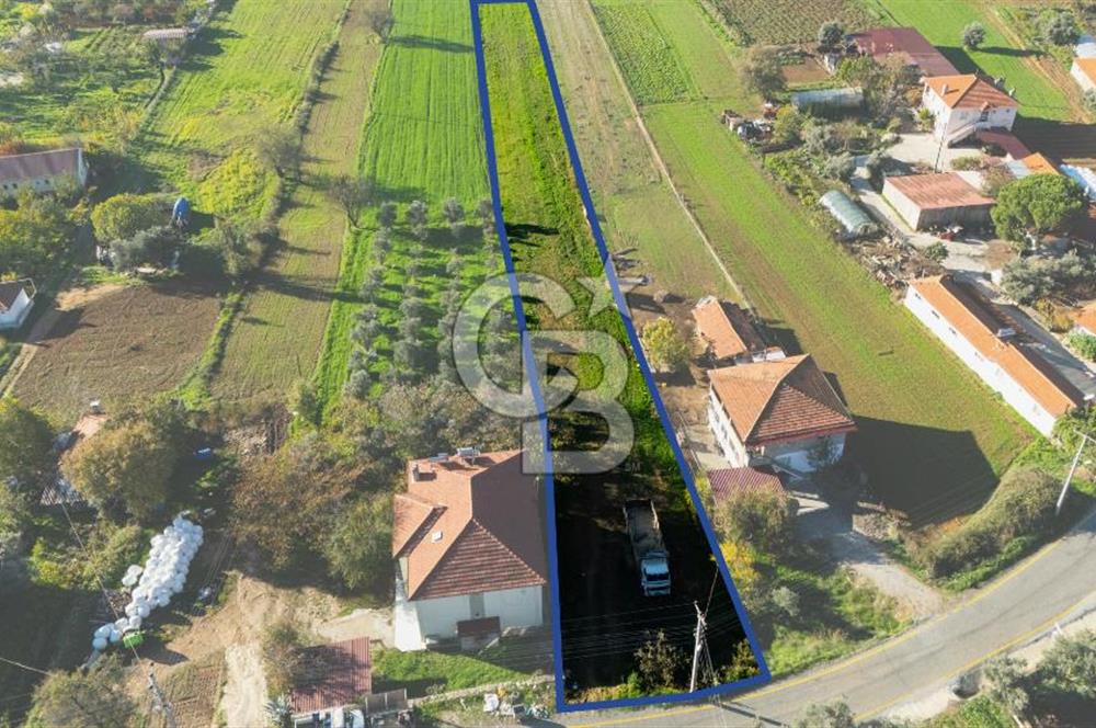 CB MARİNA'DAN YENİCE'DE YOLA CEPHELİ TARIMA UYGUN SATILIK TARLA