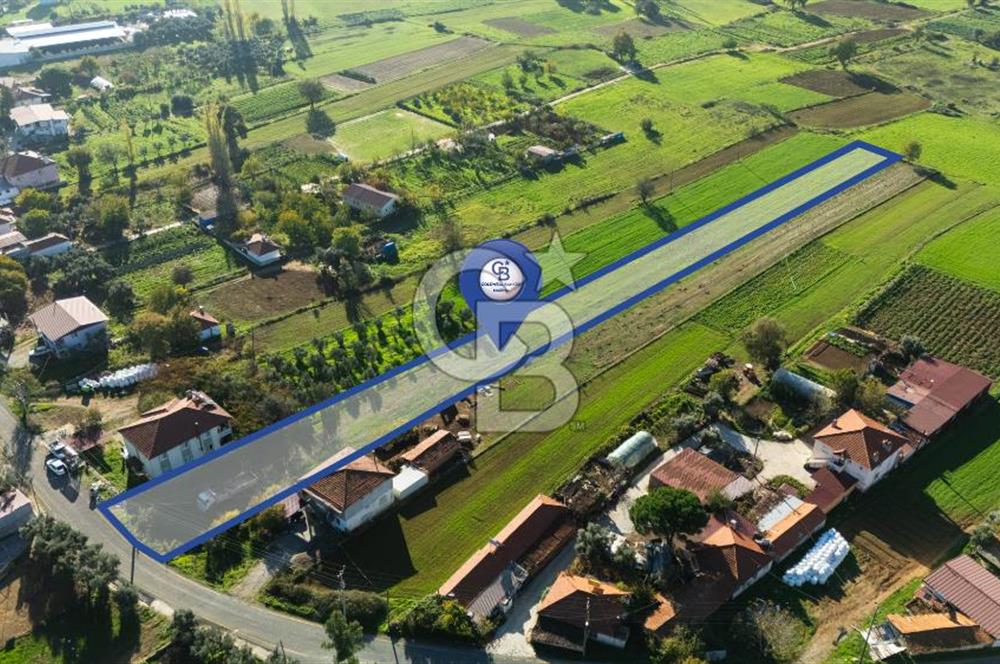 CB MARİNA'DAN YENİCE'DE YOLA CEPHELİ TARIMA UYGUN SATILIK TARLA