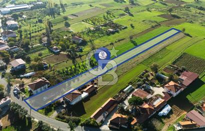 CB MARİNA'DAN YENİCE'DE YOLA CEPHELİ TARIMA UYGUN SATILIK TARLA