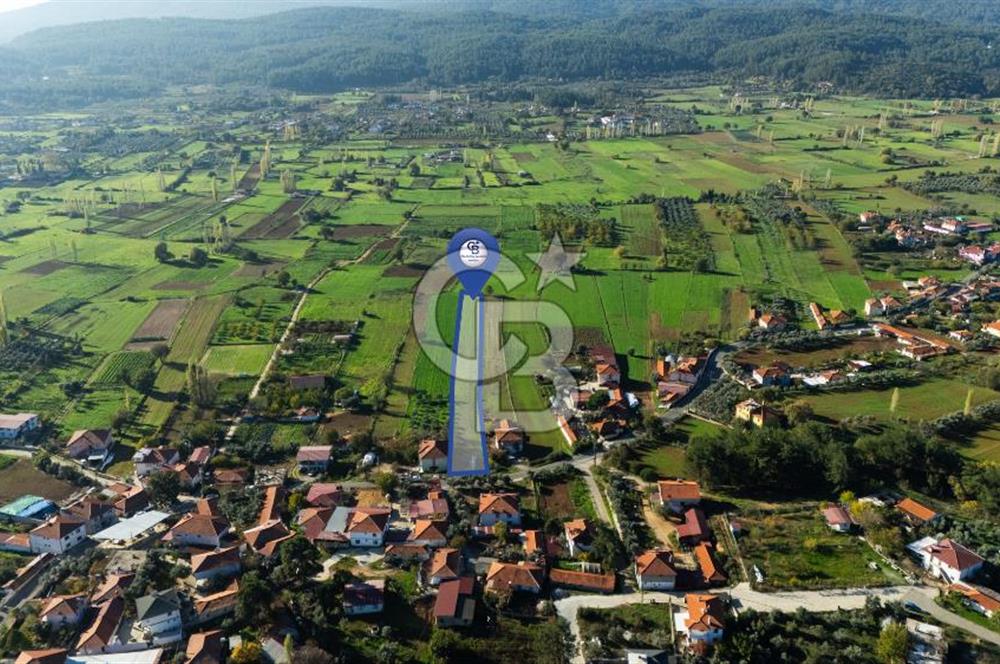 CB MARİNA'DAN YENİCE'DE YOLA CEPHELİ TARIMA UYGUN SATILIK TARLA