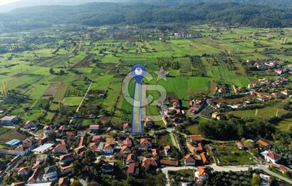 CB MARİNA'DAN YENİCE'DE YOLA CEPHELİ TARIMA UYGUN SATILIK TARLA