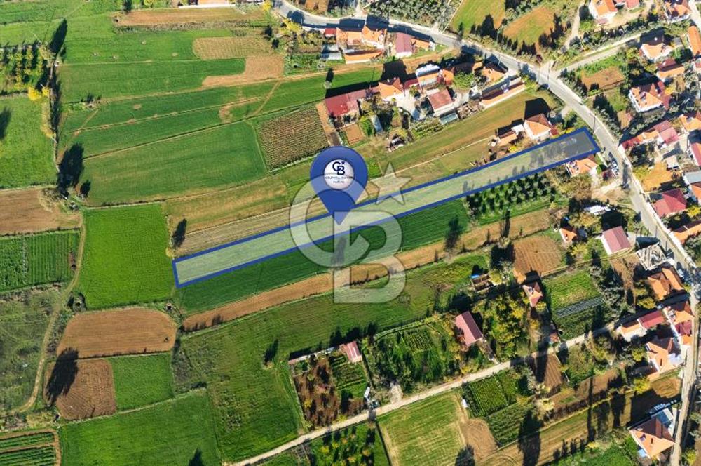 CB MARİNA'DAN YENİCE'DE YOLA CEPHELİ TARIMA UYGUN SATILIK TARLA