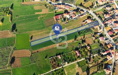 CB MARİNA'DAN YENİCE'DE YOLA CEPHELİ TARIMA UYGUN SATILIK TARLA