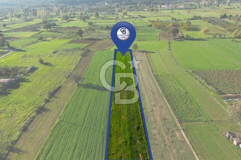 CB MARİNA'DAN YENİCE'DE YOLA CEPHELİ TARIMA UYGUN SATILIK TARLA