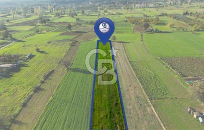 CB MARİNA'DAN YENİCE'DE YOLA CEPHELİ TARIMA UYGUN SATILIK TARLA