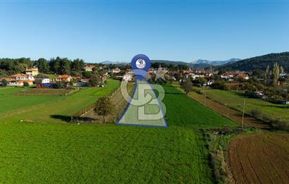 CB MARİNA'DAN YENİCE'DE YOLA CEPHELİ TARIMA UYGUN SATILIK TARLA