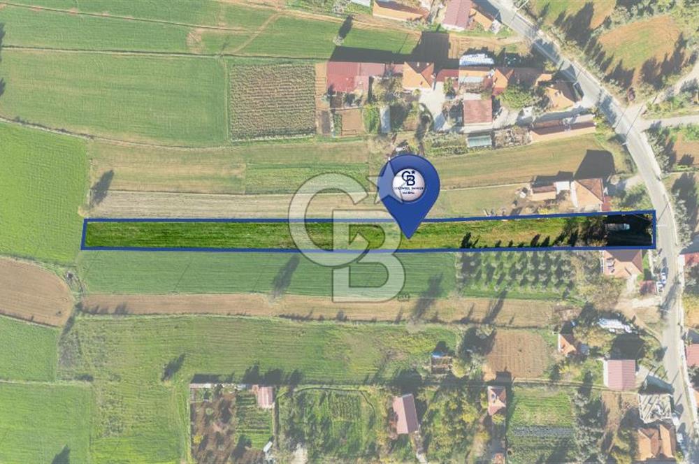 CB MARİNA'DAN YENİCE'DE YOLA CEPHELİ TARIMA UYGUN SATILIK TARLA