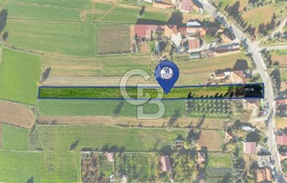 CB MARİNA'DAN YENİCE'DE YOLA CEPHELİ TARIMA UYGUN SATILIK TARLA