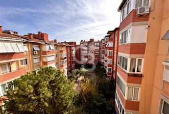 Emlak Bankası Konutları Kiralık 2+1 Bakımlı Daire  - 1 - 314794