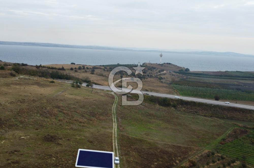 Çanakkale Lapseki Çardak Deniz Manzaralı 240m² Müstakil Parsel