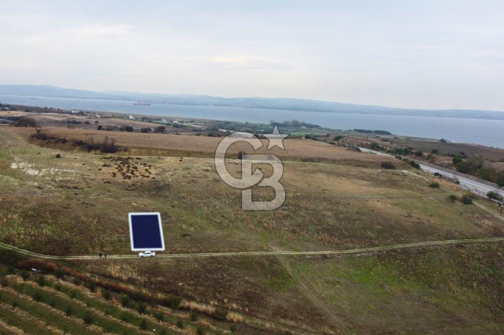 Çanakkale Lapseki Çardak Deniz Manzaralı 240m² Müstakil Parsel