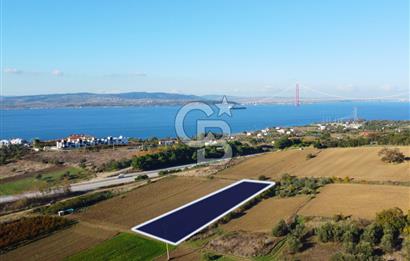 Çanakkale Lapseki Suluca 3.297m² Ana Yola Yakın Manzaralı Tarla