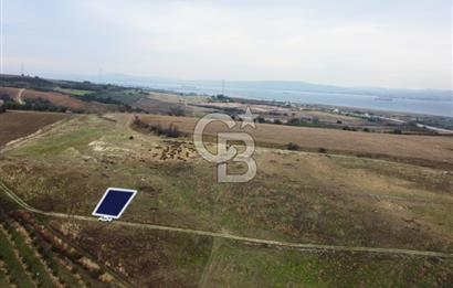 Çanakkale Lapseki Çardak Deniz Manzaralı 240m² Müstakil Parsel