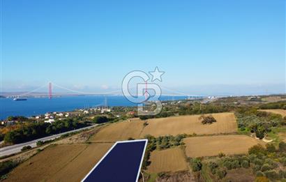 Çanakkale Lapseki Suluca 3.297m² Ana Yola Yakın Manzaralı Tarla