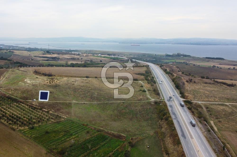 Çanakkale Lapseki Çardak Deniz Manzaralı 240m² Müstakil Parsel