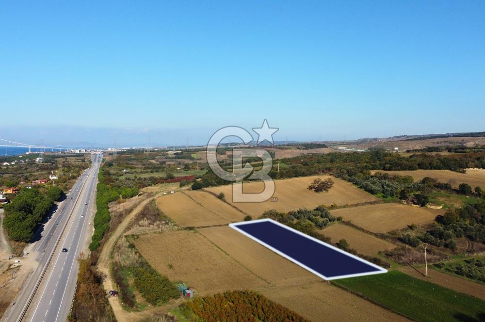 Çanakkale Lapseki Suluca 3.297m² Ana Yola Yakın Manzaralı Tarla