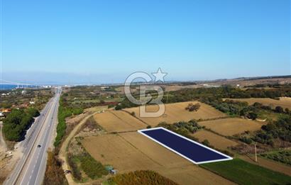 Çanakkale Lapseki Suluca 3.297m² Ana Yola Yakın Manzaralı Tarla