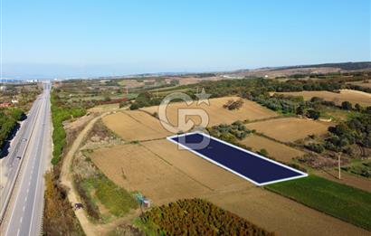 Çanakkale Lapseki Suluca 3.297m² Ana Yola Yakın Manzaralı Tarla