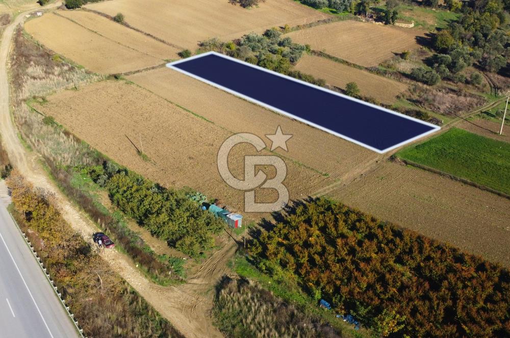 Çanakkale Lapseki Suluca 3.297m² Ana Yola Yakın Manzaralı Tarla
