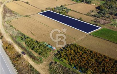 Çanakkale Lapseki Suluca 3.297m² Ana Yola Yakın Manzaralı Tarla