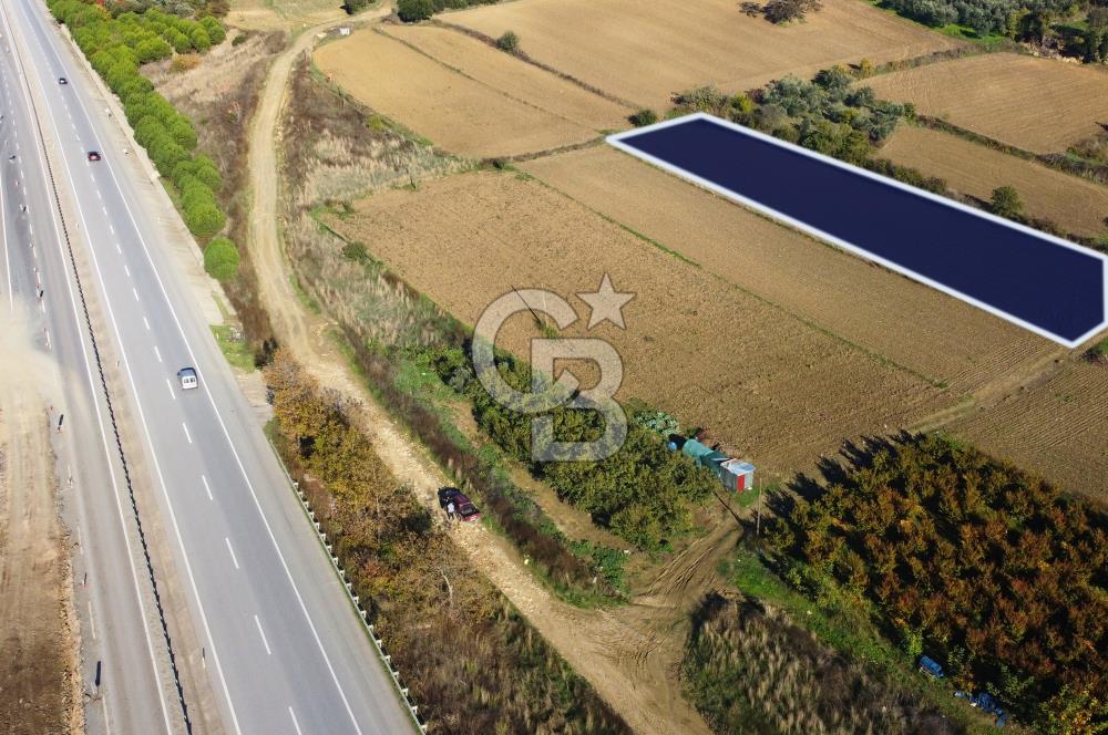 Çanakkale Lapseki Suluca 3.297m² Ana Yola Yakın Manzaralı Tarla