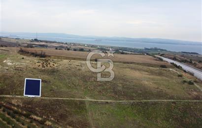 Çanakkale Lapseki Çardak Deniz Manzaralı 240m² Müstakil Parsel