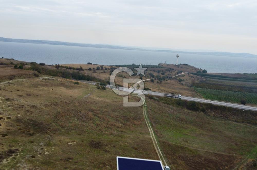Çanakkale Lapseki Çardak Deniz Manzaralı 240m² Müstakil Parsel