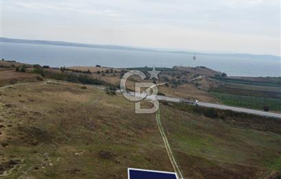 Çanakkale Lapseki Çardak Deniz Manzaralı 240m² Müstakil Parsel