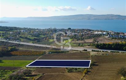 Çanakkale Lapseki Suluca 3.297m² Ana Yola Yakın Manzaralı Tarla