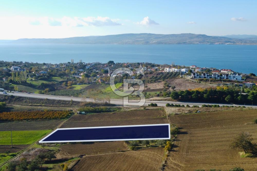 Çanakkale Lapseki Suluca 3.297m² Ana Yola Yakın Manzaralı Tarla