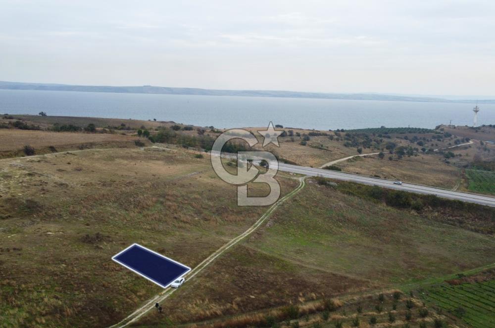 Çanakkale Lapseki Çardak Deniz Manzaralı 240m² Müstakil Parsel