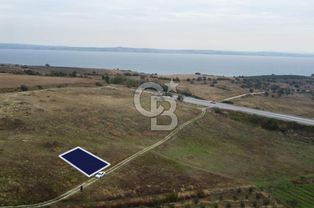 Çanakkale Lapseki Çardak Deniz Manzaralı 240m² Müstakil Parsel