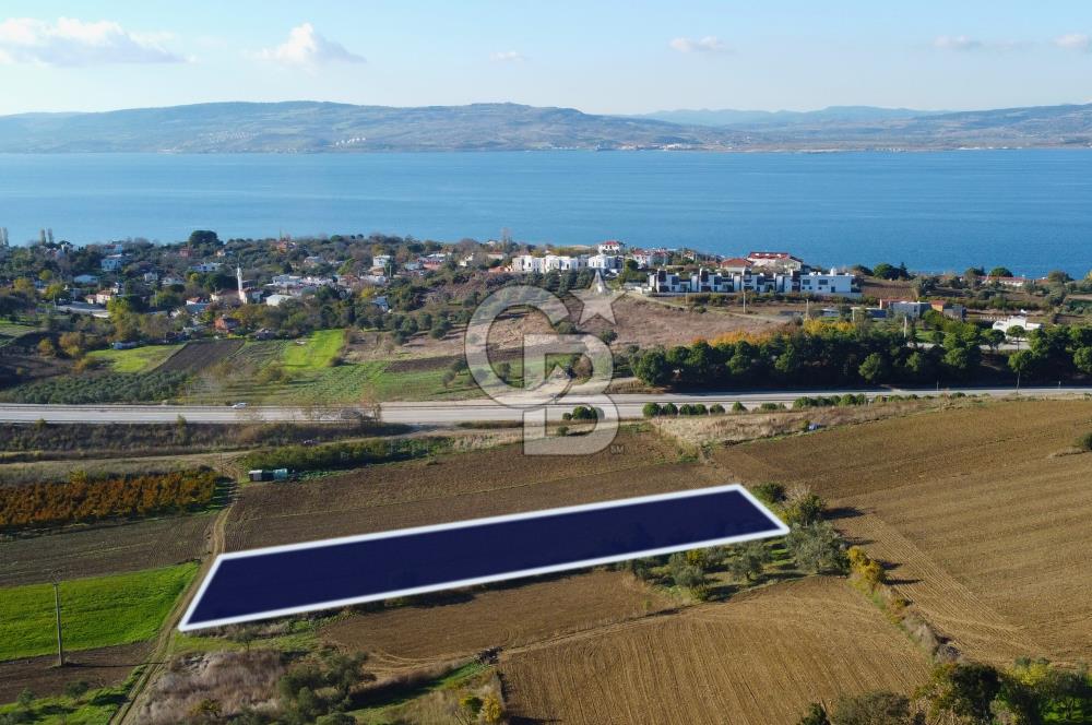 Çanakkale Lapseki Suluca 3.297m² Ana Yola Yakın Manzaralı Tarla