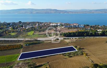 Çanakkale Lapseki Suluca 3.297m² Ana Yola Yakın Manzaralı Tarla