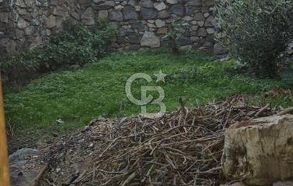 Alaniçi Köyü’nde Avlulu Kargir Ev ve Dam – Yatırımlık Fırsat!