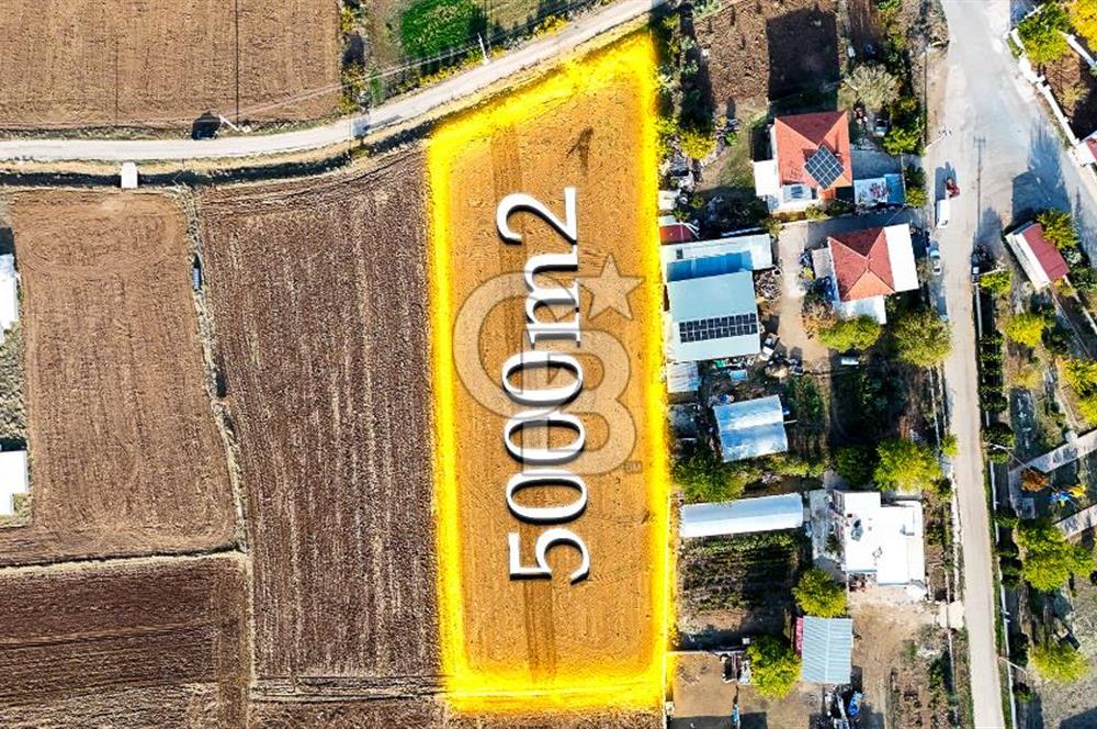 KORKUTELİ BAYAT BADEMLERDE İMAR SINIRINA KOMŞU 5000M2 YATIRIM !