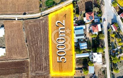 KORKUTELİ BAYAT BADEMLERDE İMAR SINIRINA KOMŞU 5000M2 YATIRIM !