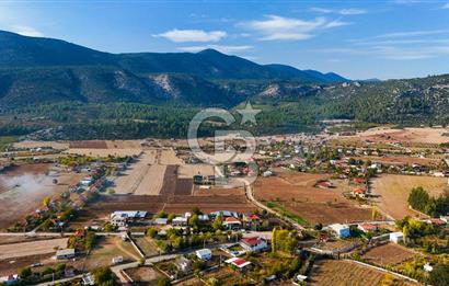 KORKUTELİ BAYAT BADEMLERDE İMAR SINIRINA KOMŞU 5000M2 YATIRIM !