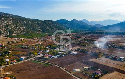 KORKUTELİ BAYAT BADEMLERDE İMAR SINIRINA KOMŞU 5000M2 YATIRIM !