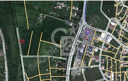 DÜŞÜK BÜTÇE BÜYÜK YATIRIM