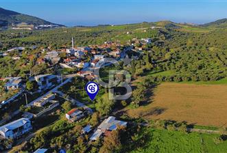 Foça Yeniköy'de Köy Merkezine Yakın Satılık Tarla - 1 - 314880