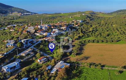 Foça Yeniköy'de Köy Merkezine Yakın Satılık Tarla