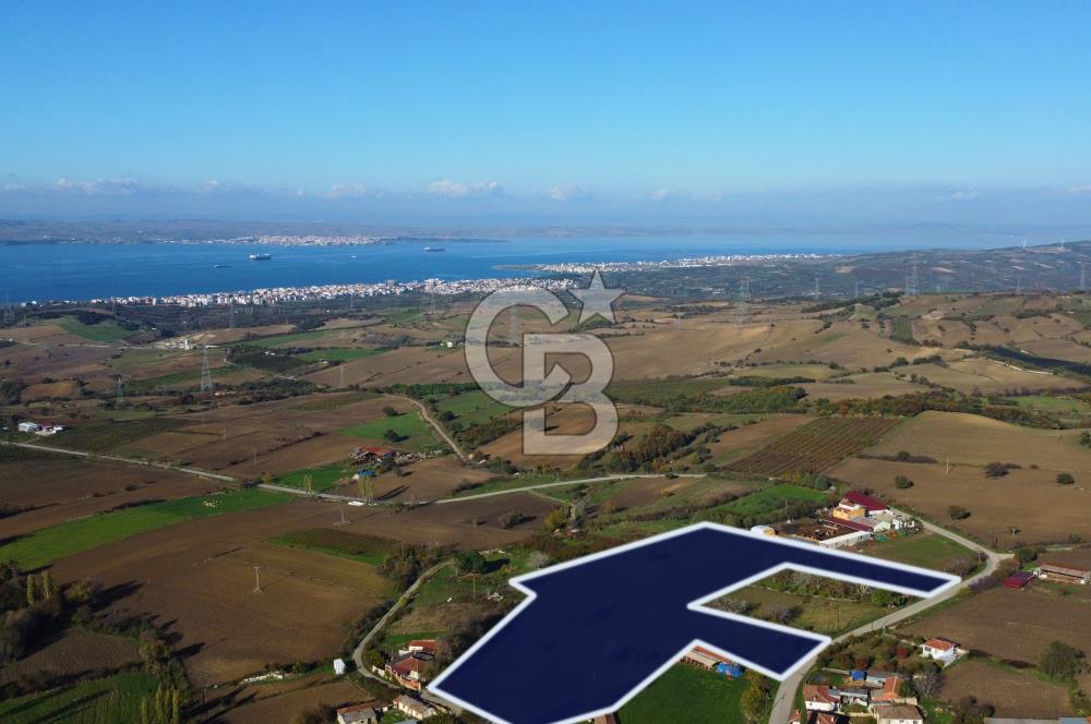 Çanakkale Lapseki Kocaveli Boğaz Manz. Tamamı İmarlı Kupon Arazi