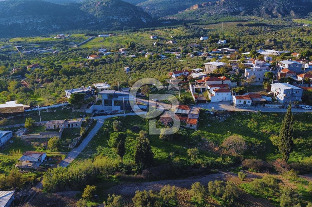 Foça Yeniköy'de Köy Merkezine Yakın Satılık Tarla