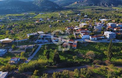 Foça Yeniköy'de Köy Merkezine Yakın Satılık Tarla