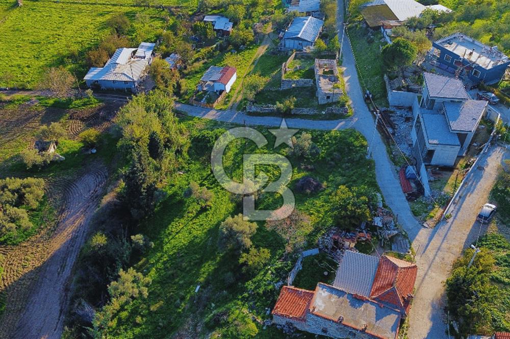 Foça Yeniköy'de Köy Merkezine Yakın Satılık Tarla