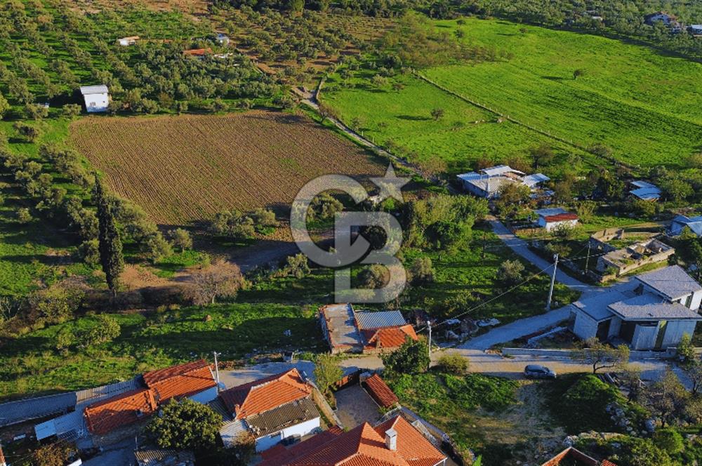Foça Yeniköy'de Köy Merkezine Yakın Satılık Tarla