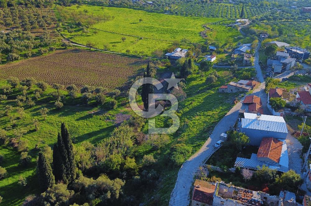 Foça Yeniköy'de Köy Merkezine Yakın Satılık Tarla