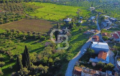 Foça Yeniköy'de Köy Merkezine Yakın Satılık Tarla